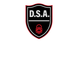 Dynamic Security Austria Logo